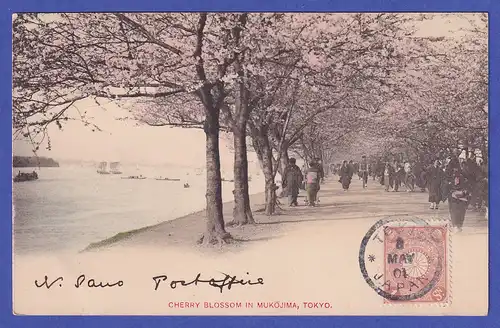 Japan 1901 old postcard Cherry blossom mailed from TOKIO to Germany 