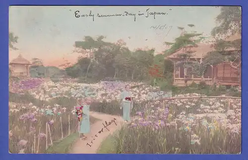 Japan 1907 old colored postcard Flower garden mailed from MOJI to Germany