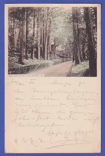 Japan 1901 old postcard Road in a forest near Nikkō mailed to Austria