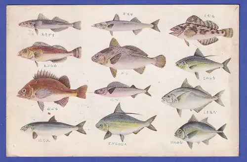 Japan 1938 Postcard Fishes with Mi.-Nr. 257 mailed from KOBE to Germany