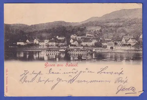 Österreich 1898  Ansichtskarte Salesel (Dolní Zálezly) Stadtansicht