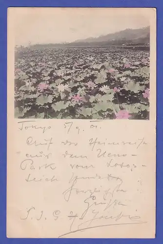 Japan 1901 old postcard Lotos flowers mailed from TOKIO to Austria