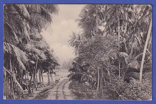 Ceylon 1920 old postcard Railroad track mailed from COLOMBO to PEKING / China