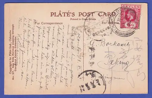 Ceylon 1920 old postcard Railroad track mailed from COLOMBO to PEKING / China