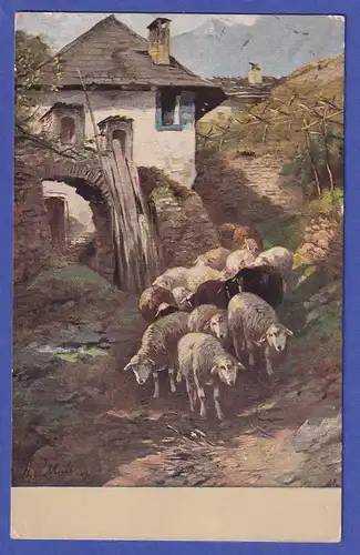 Bayern 1907 Kunst-Postkarte Schafherde im Dorf,  gelaufen in München