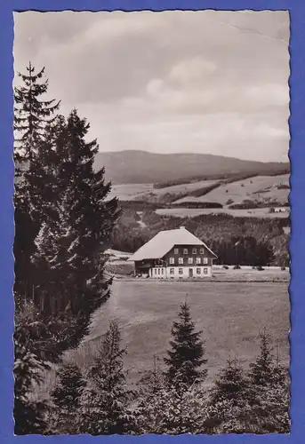 Bundesrepublik 1956 Katholikentag Mi.-Nr. 239 als EF auf AK  O TITISEE