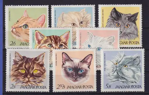 Ungarn 1968 Katzen Mi.-Nr. 2387-2394 A postfrisch **