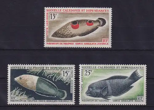 Neukaledonien 1965 Fische Mi.-Nr. 415-417 postfrisch **