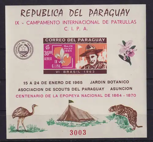 Paraguay 1965 Pfadfinder Mi.-Nr. Block 66 postfrisch **