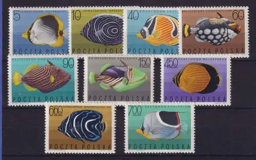 Polen 1967 Fische Mi.-Nr. 1748-1756 postfrisch **