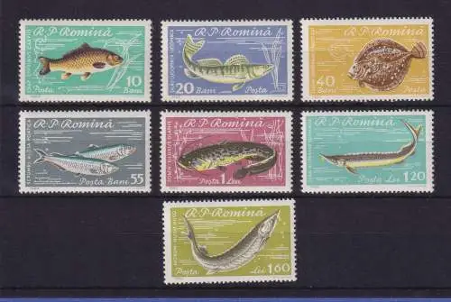 Rumänien 1960 Fische Mi.-Nr. 1927-1933 postfrisch ** 