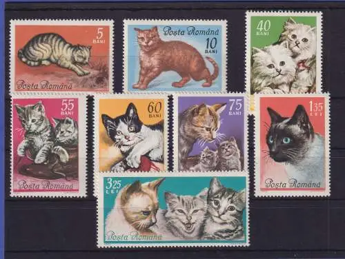 Rumänien 1965 Katzen Mi.-Nr. 2387-2394 postfrisch ** 