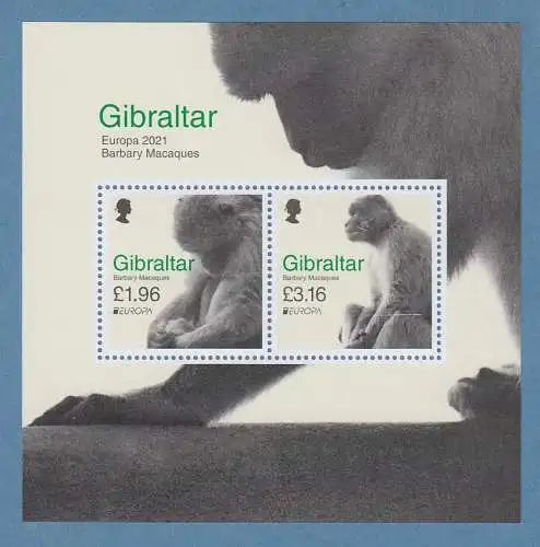 Gibraltar 2021 EUROPA gefährdete Wildtiere Berberaffe Mi.-Nr. Block 145 **