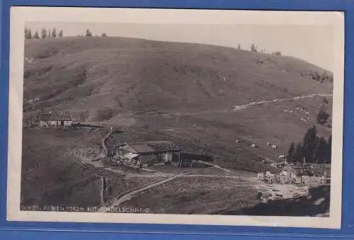 Alte AK Bayern Gindelalmen mit Gindelschneid , gelaufen 1925 