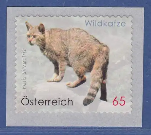 Österreich 2010 Freimarke Tierschutz Europäische Wildkatze   Mi.-Nr. 2849