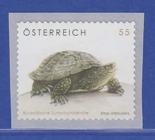 Österreich 2006 Freimarken Tierschutz Europäische Sumpfschildkröte Mi.-Nr. 2624