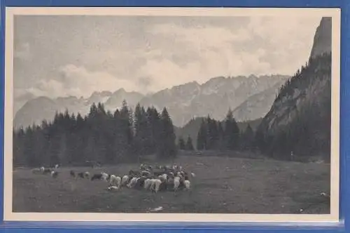 Alte AK Österreich Ampezzo Südtirol, ungelaufen