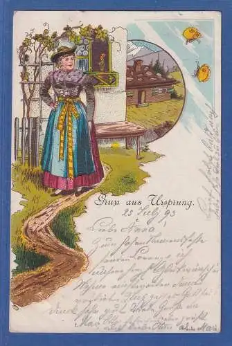 Alte AK Österreich Gruß aus Ursprung,  gebraucht 1893