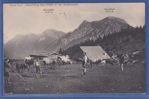 Alte AK Österreich Nord-Tirol Hirschfang-Alpe bei Ammerwald, gebraucht 1912