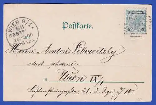 Österreich 1900 Bildpostkarte Schöne Gärtnerin von Carl Zewy