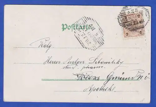 Österreich 1899 Bildpostkarte Blüten mit Achteck-O WIEN und GMÜND