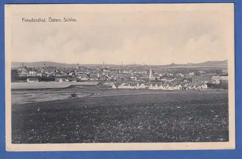 Alte AK Österreich Freudenthal, Österrr. Schlesien  gel.1917