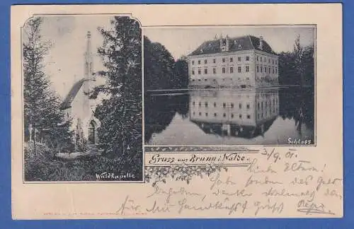 Alte AK Österreich Gruss aus Brunn im Walde gel.1901