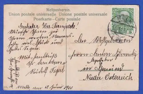 Österreich 1910 Bildpostkarte Blütenstrauch O MELK