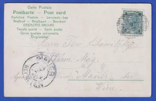 Österreich 1902 Bildpostkarte Gebirgslandschaft O GMÜND nach Mauer bei Wien