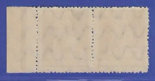 Bayern 1920 Abschied 20Pfg gute TYPE II Mi.-Nr. 181 II waag. Paar postfrisch **