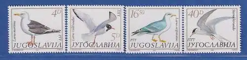 Jugoslawien 1984 Fauna Vögel Möwen  Mi.-Nr. 2055-58 ** / MNH