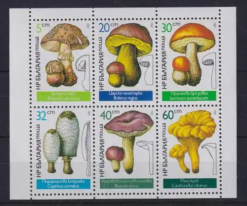 Bulgarien 1987 Pilze Mi.-Nr. 3546-3551 Kleinbogen postfrisch **