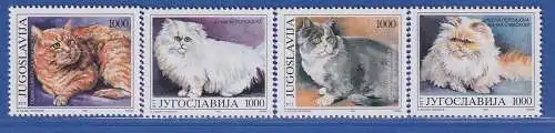 Jugoslawien 1992 Fauna: Katzen Mi.-Nr. 2544-47 ** / MNH