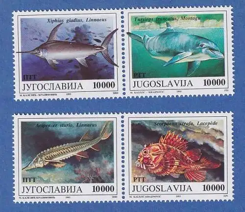 Jugoslawien 1993  Geschützte Tiere: Meerestiere  Mi.-Nr. 2589-2592 ** / MNH