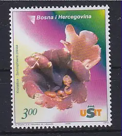 Bosnien-Herzegowina 2006 Flora Kronenbecherling Mi.-Nr. 440 ** 