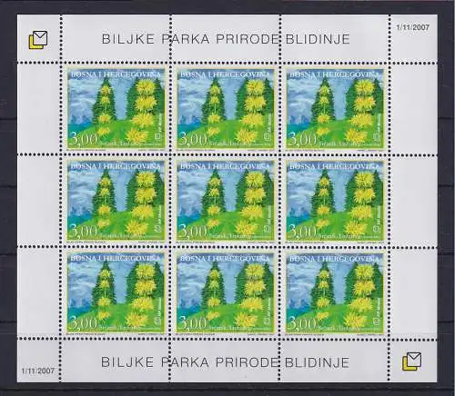 Bosnien (kroatische Post) 2007 Kleinbogen Mi.-Nr. 219 Flora Gelber Enzian **