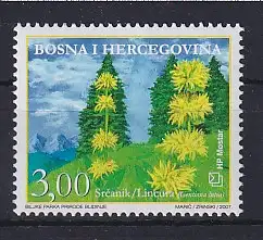 Bosnien (kroatische Post) 2007 Mi.-Nr. 219 Flora Gelber Enzian **