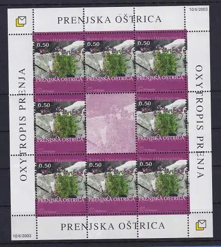 Bosnien (kroatische Post) 2003 KLB Mi.-Nr. 110 Prenjer Fahnenwickle **