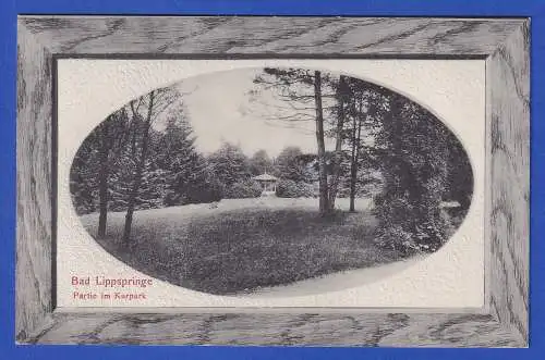 Alte AK ca. 1910 Bad Lippspringe Kurpark  ungelaufen