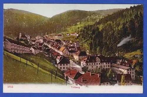 Alte AK Triberg im Schwarzwald  ungelaufen