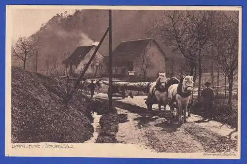 Alte Bildpostkarte Holz-Transport im Schwarzwald  ungelaufen