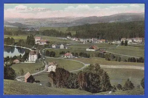 Alte AK Titisee im Schwarzwald 1906  ungelaufen