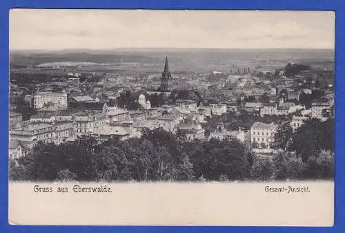 Alte AK Eberswalde Stadtansicht  ungelaufen