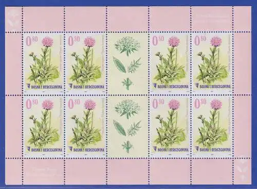 Bosnien-Herzegowina 2007 Witwenblume Mi.-Nr. 478 Kleinbogen ** 