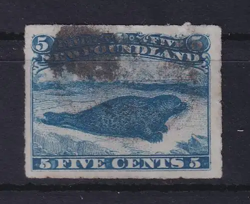 Kanada Neufundland 1876 Robbe 5 Cents Mi.-Nr. 30 gestempelt