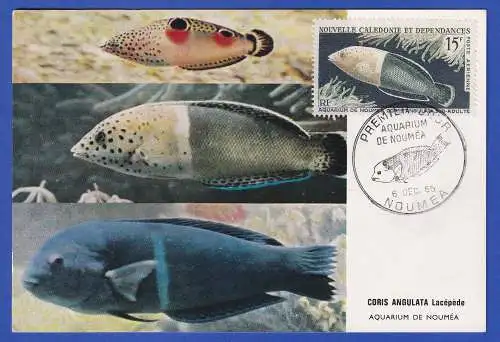 Neukaledonien 1965 Mi.-Nr. 416 Fisch auf Ersttags-Maximumkarte So.-O NOUMEA