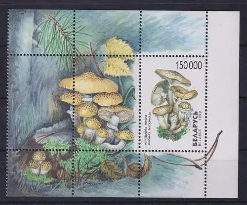 Weißrussland / Belarus 1999 Pilze Mi.-Nr. Block 17 postfrisch **