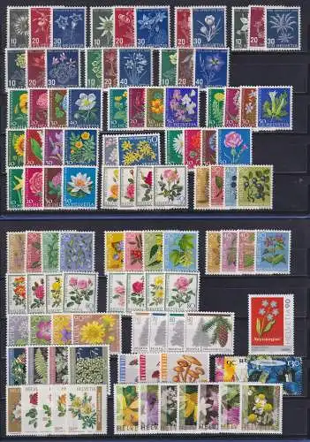 Schweiz Blumen und Pflanzen, meist Pro Juventute Lot 107 Werte postfrisch **