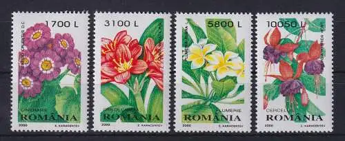 Rumänien 2000 Flora Blumen Blüten Mi.-Nr. 5478-5481 postfrisch**