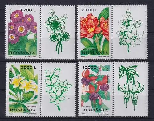 Rumänien 2000 Flora Blumen Blüten Mi.-Nr. 5478-5481 mit Zierfeldern postfrisch**